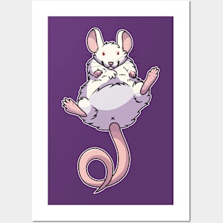 Chubby Mouse/Rat- Albino Posters and Art